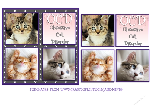 LOVE CATS 6X6
