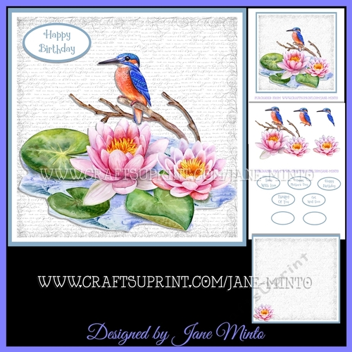 THE KINGFISHER