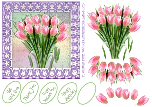 BUNCH OF TULIPS