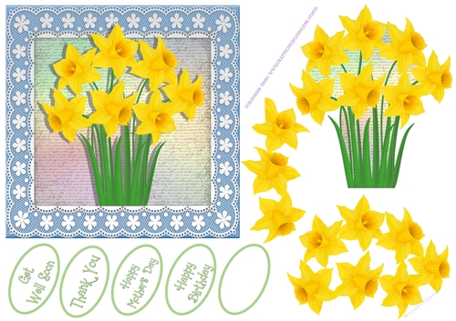 BUNCH OF DAFFODILS