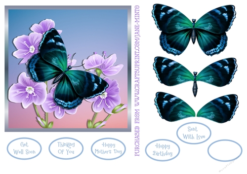 BUTTERFLY FLOWER 1