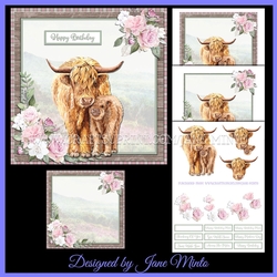HIGHLAND COWS