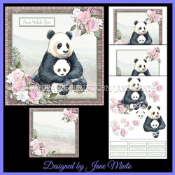 PRETTY PANDAS