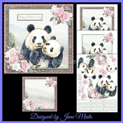 PANDA CUDDLES MINI KIT