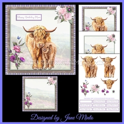 SCOTTISH COOS