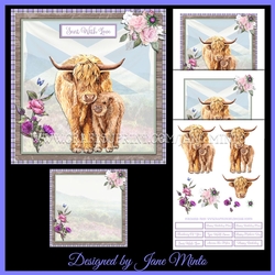 SCOTTISH COOS - design 2