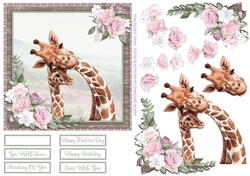 GIRAFFES 6X6