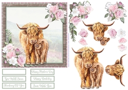 HIGHLAND COWS 6X6