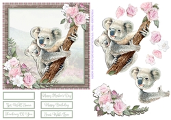 KOALAS 6X6