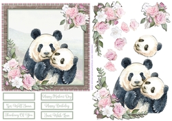 PANDA CUDDLES 6X6