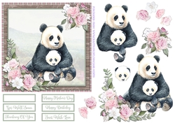 PANDA 6X6