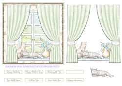 COSY CATS WINDOW
