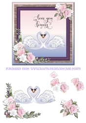 PINK ROSE SWANS
