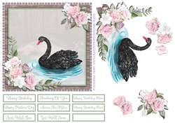 BLACK SWAN 6X6