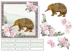ECHIDNA 6X6
