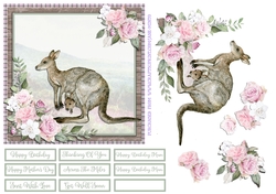 KANGAROOS 6X6