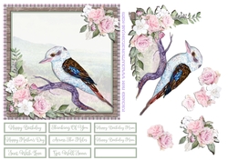 KOOKABURRA 6X6