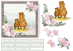 QUOKKAS 6X6