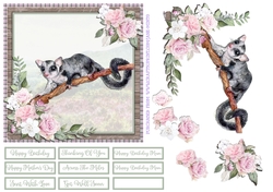 SUGAR GLIDER 6X6