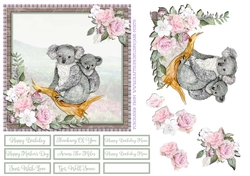 KOALA & JOEY 6X6