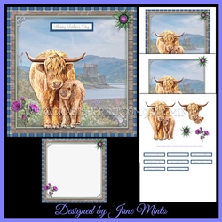 HIGHLAND COWS 