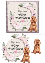 SPANIEL 6X6