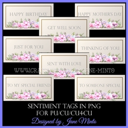 OBLONG SENTIMENT TAGS