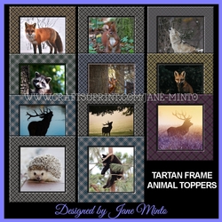TARTAN FRAME ANIMAL TOPPERS