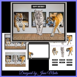 TIGERS