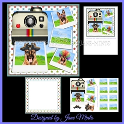 SNAP HAPPY GERMAN SHEPHERD