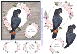 BLACK COCKATOO 6X6
