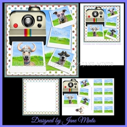 SNAP HAPPY GREYHOUND