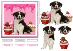 HEY CUPCAKE 6X6