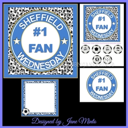 SHEFFIELD WEDNESDAY MINI KIT