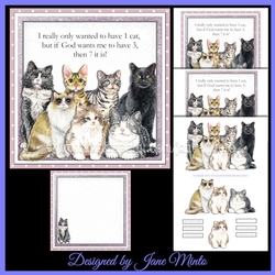 7 CATS