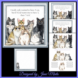 7 CATS blue