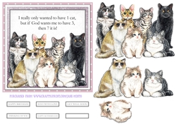 7 CATS 6x6