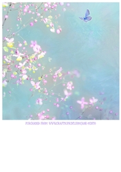 FLOWERS & BUTTERFLY