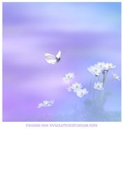 PURPLE HUES