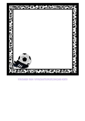 FOOTBALL INSERT