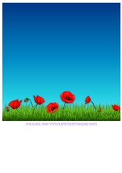 POPPY 3