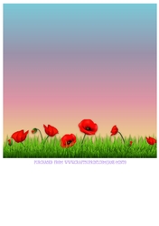 POPPY 4