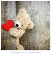 TEDDY HEART