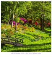 COUNTRY GARDEN