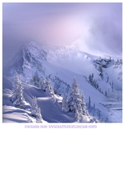 SNOWY MOUNTAINS