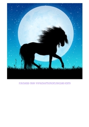 SILHOUETTE HORSE & MOON