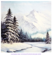 SNOWY MOUNTAINS