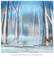 WINTER BIRDS