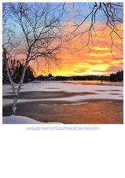 WINTER SUN 3