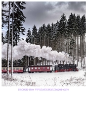 WINTER TRAIN